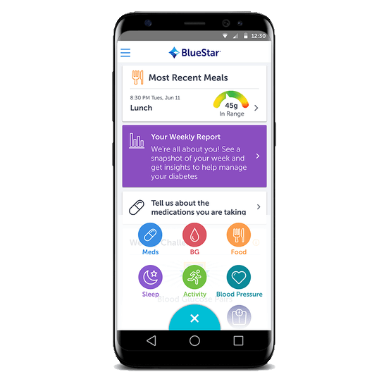 Image of smartphone displaying the Bluestar App Interface