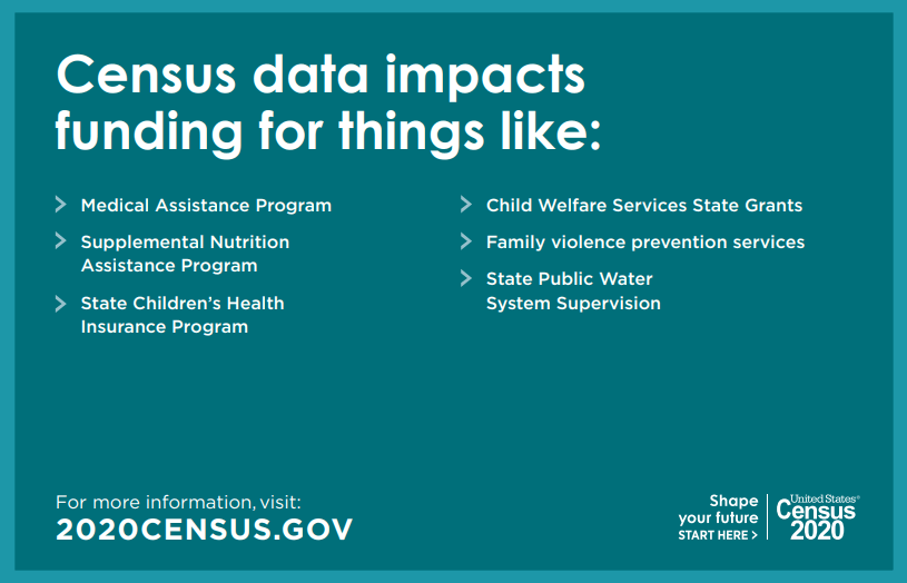 Services the 2020 US Census impacts