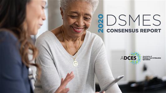 DSMES Powerpoint Icon